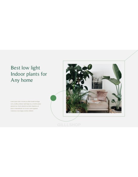 Home Plant’s Presentation Templates Design