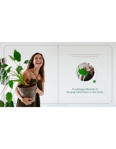 Home Plant’s Presentation Templates Design