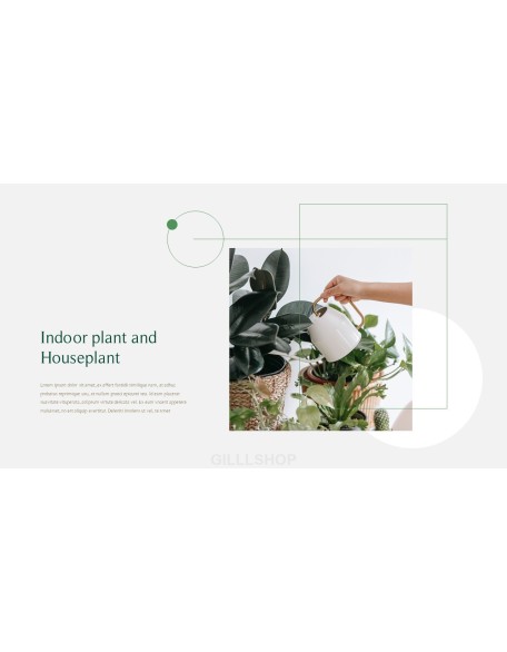 Home Plant’s Presentation Templates Design