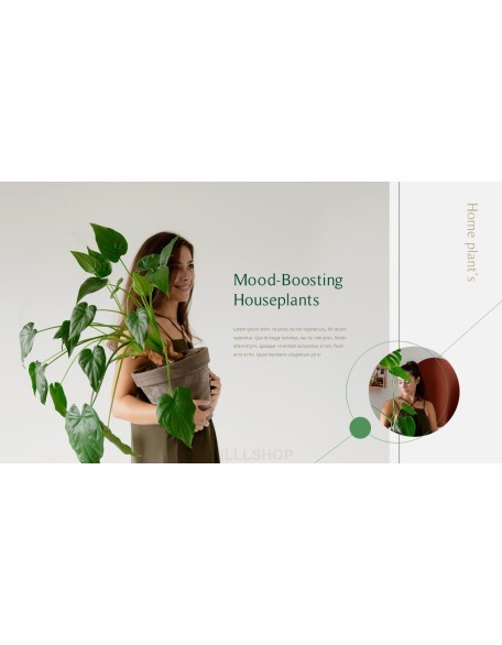 Home Plant’s Presentation Templates Design