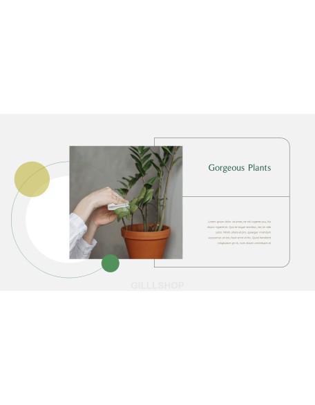 Home Plant’s Presentation Templates Design