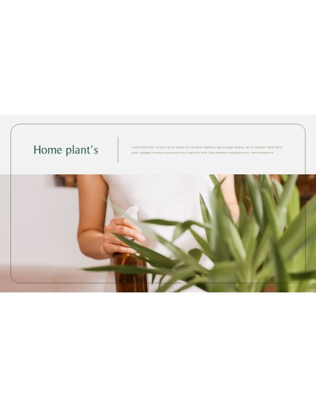 Home Plant’s Presentation Templates Design