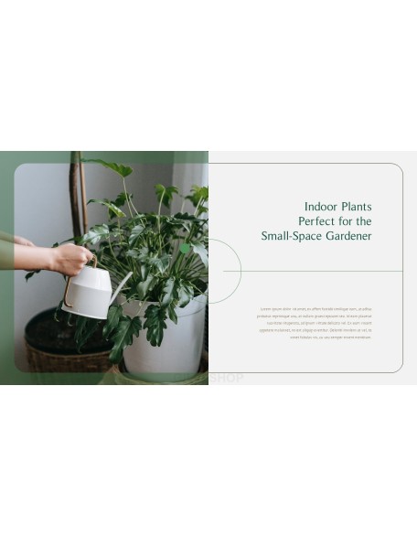 Home Plant’s Presentation Templates Design