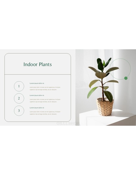 Home Plant’s Presentation Templates Design