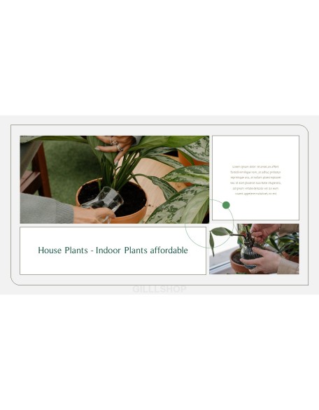 Home Plant’s Presentation Templates Design