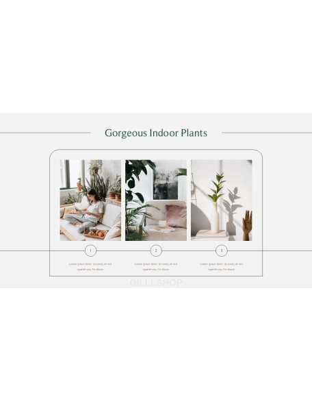 Home Plant’s Presentation Templates Design