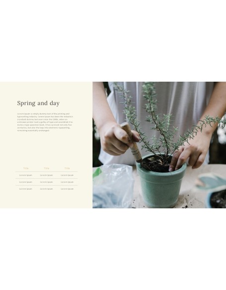 Spring Presentation Format