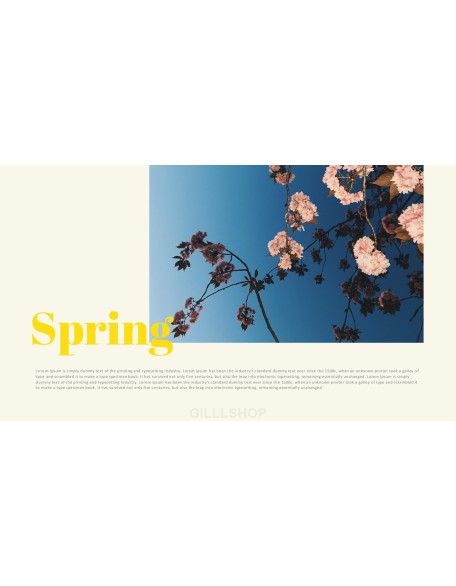 Spring Presentation Format