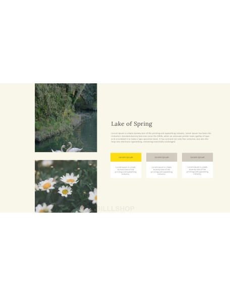 Spring Presentation Format