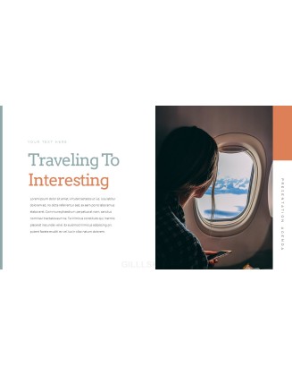 Travel Business plan Templates PPT