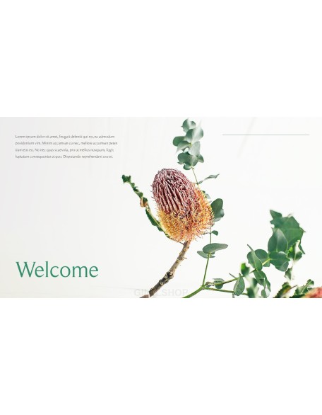 Nature Leaf Background PowerPoint