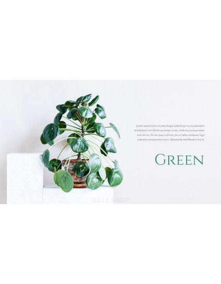 Nature Leaf Background PowerPoint