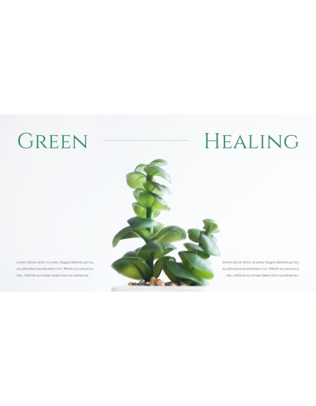 Nature Leaf Background PowerPoint