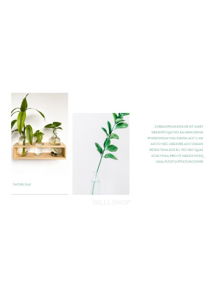 Nature Leaf Background PowerPoint