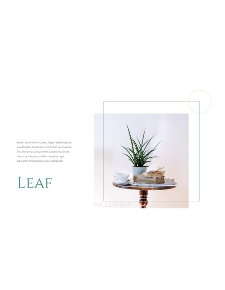 Nature Leaf Background PowerPoint