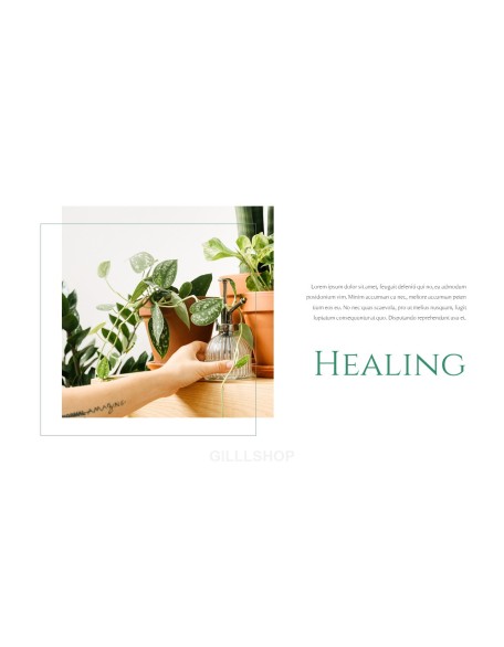 Nature Leaf Background PowerPoint