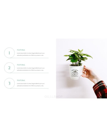 Nature Leaf Background PowerPoint