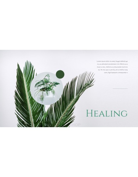 Nature Leaf Background PowerPoint