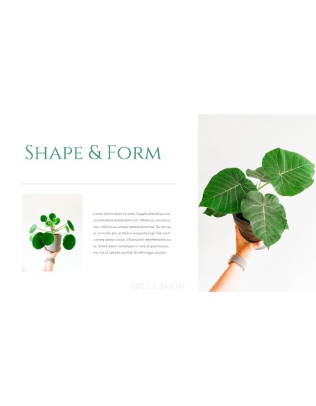 Nature Leaf Background PowerPoint
