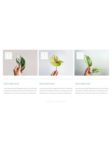 Nature Leaf Background PowerPoint