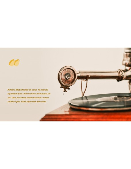 Retro Vinyl Collection Theme PPT Templates