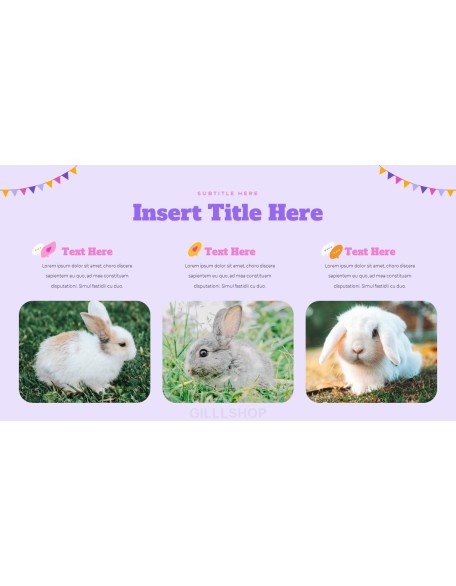 Year of the Rabbit presentation template