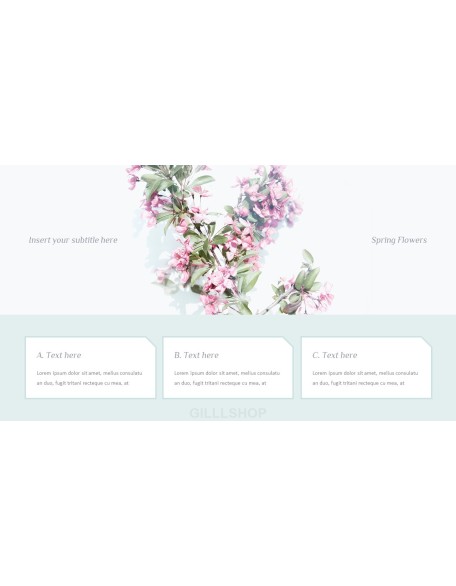 Spring Flowers Design pitch deck powerpoint templates