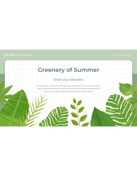 Summer Tropical ppt themes