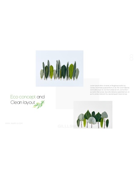 Eco Concept Business plan PPT