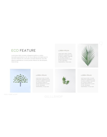 Eco Concept Business plan PPT