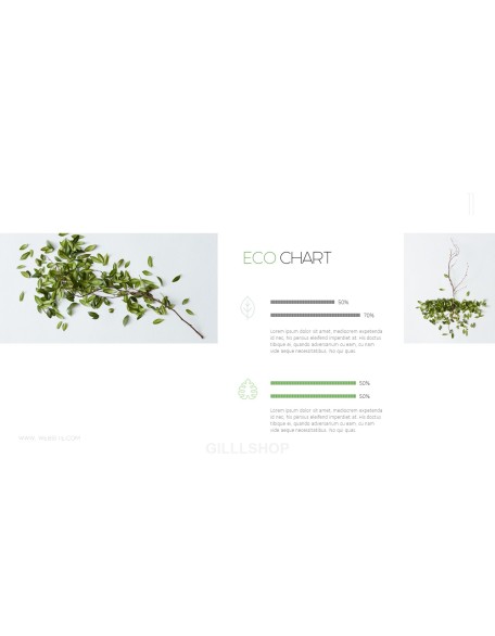 Eco Concept Business plan PPT