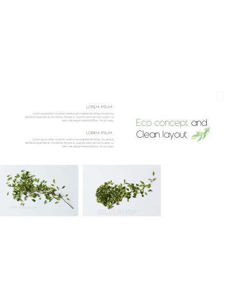 Eco Concept Business plan PPT