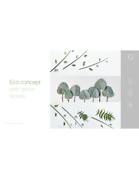 Eco Concept Business plan PPT