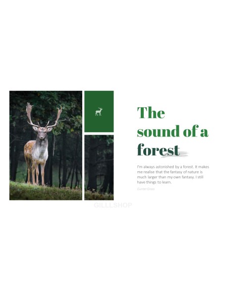 Forest PowerPoint Templates Multipurpose Design