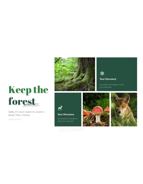 Forest PowerPoint Templates Multipurpose Design