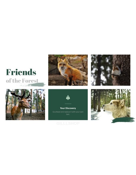 Forest PowerPoint Templates Multipurpose Design