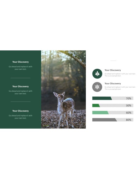 Forest PowerPoint Templates Multipurpose Design