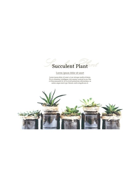 Succulent Plant Business PPT