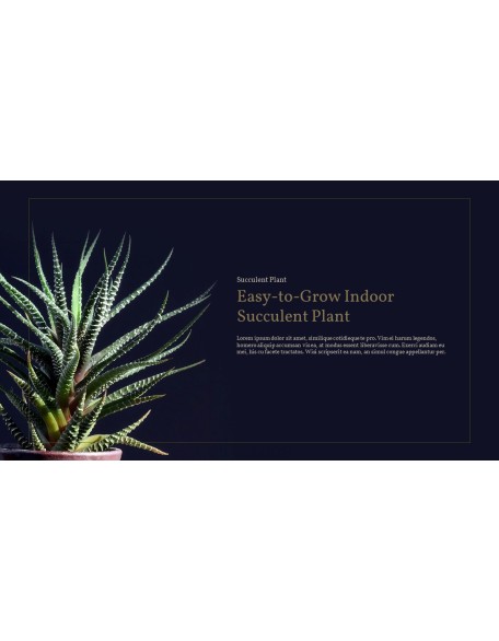 Succulent Plant Business PPT