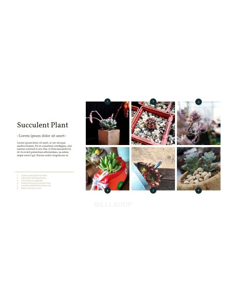 Succulent Plant Business PPT