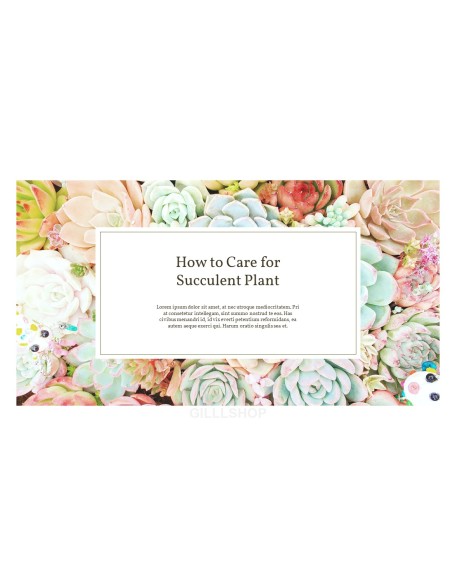 Succulent Plant Business PPT