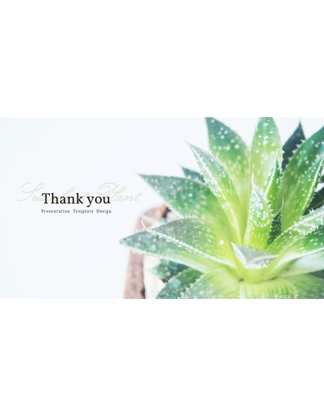 Succulent Plant Business PPT