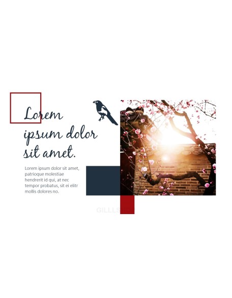 New Year PPT Templates