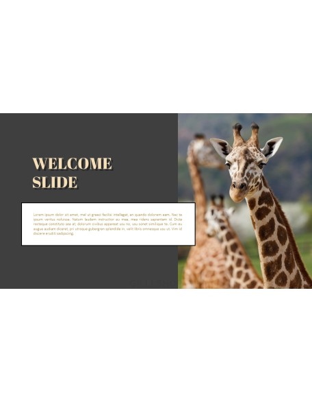 Zoo PowerPoint Templates for Presentation