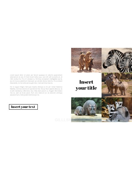 Zoo PowerPoint Templates for Presentation