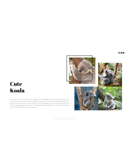 Zoo PowerPoint Templates for Presentation