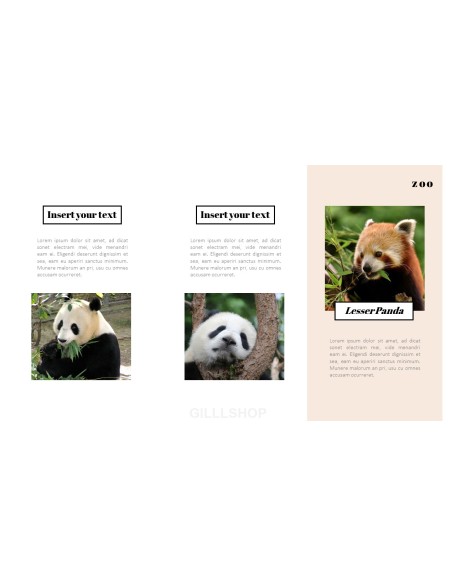 Zoo PowerPoint Templates for Presentation