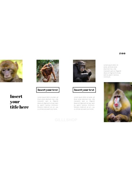 Zoo PowerPoint Templates for Presentation