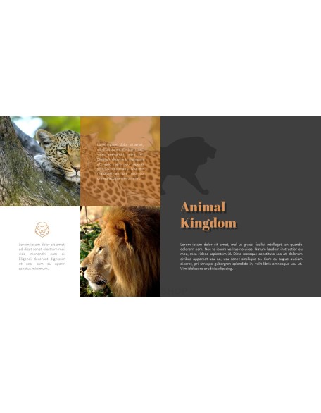 Zoo PowerPoint Templates for Presentation