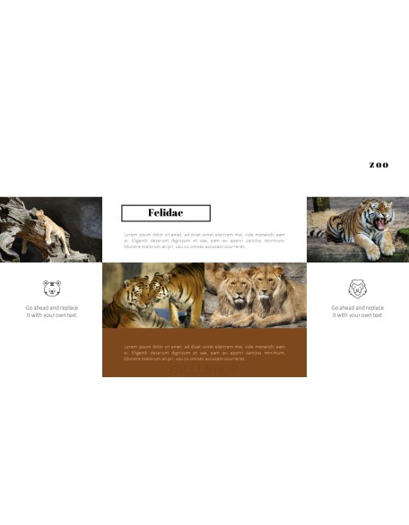 Zoo PowerPoint Templates for Presentation